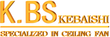 KBS-Logo